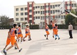 SPORTS GALLERY